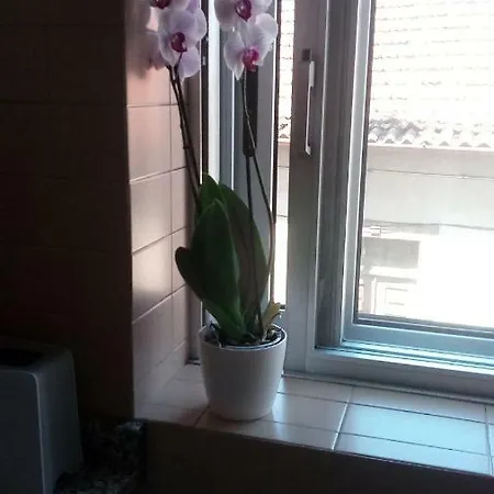 Lima's House Βίλα Νόβα ντε Γκάια